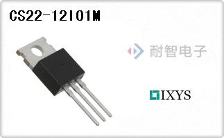 CS22-12IO1M