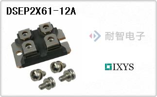 DSEP2X61-12A