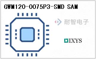 GWM120-0075P3-SMD SA