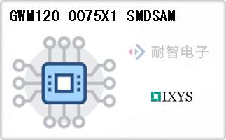 GWM120-0075X1-SMDSAM