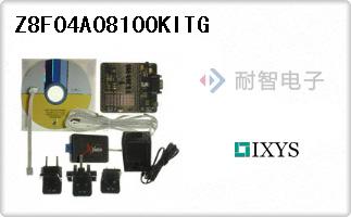 Z8F04A08100KITG