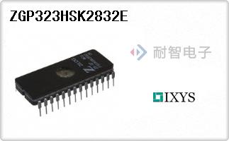 ZGP323HSK2832E