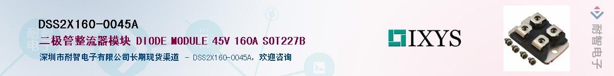 DSS2X160-0045AӦ-ǵ