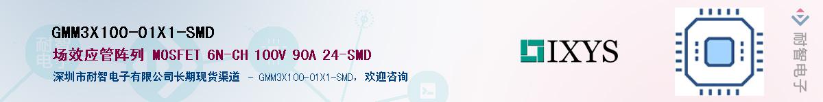 GMM3X100-01X1-SMDӦ-ǵ