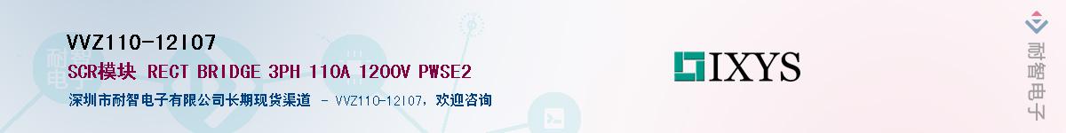 VVZ110-12IO7Ӧ-ǵ