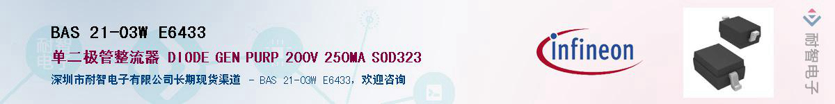 BAS 21-03W E6433Ӧ-ǵ