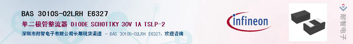 BAS 3010S-02LRH E6327Ӧ-ǵ