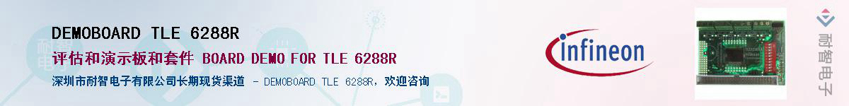 DEMOBOARD TLE 6288RӦ-ǵ
