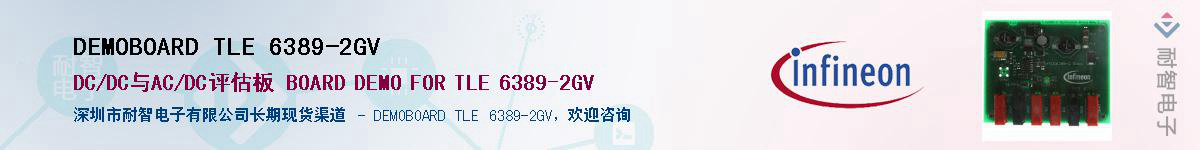 DEMOBOARD TLE 6389-2GVӦ-ǵ