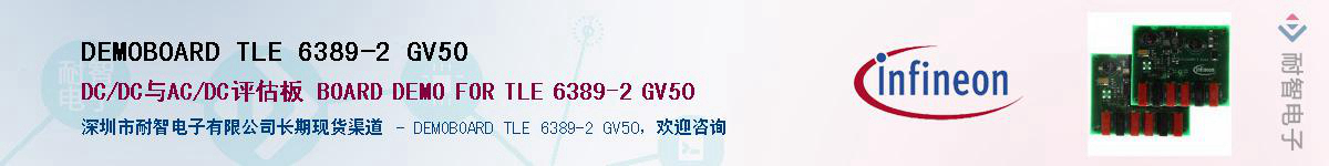 DEMOBOARD TLE 6389-2 GV50Ӧ-ǵ