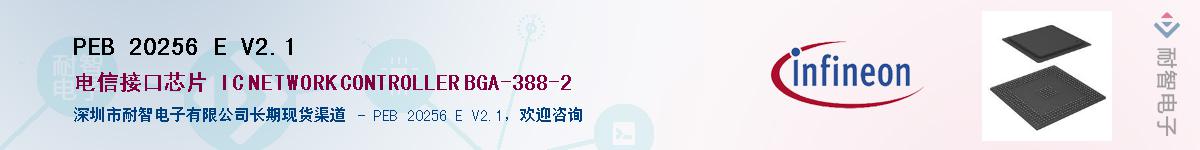 PEB 20256 E V2.1Ӧ-ǵ