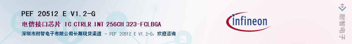 PEF 20512 E V1.2-GӦ-ǵ