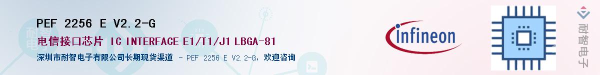 PEF 2256 E V2.2-GӦ-ǵ