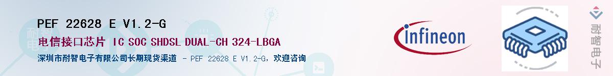 PEF 22628 E V1.2-GӦ-ǵ