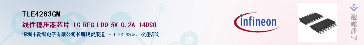 TLE4263GMӦ-ǵ