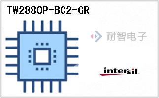 TW2880P-BC2-GR