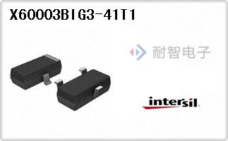 X60003BIG3-41T1