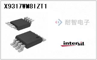 X9317WM8IZT1