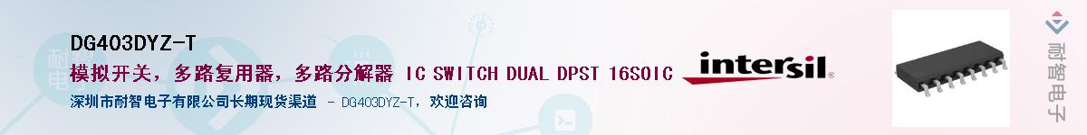 DG403DYZ-T��Ӧ��-���ǵ���