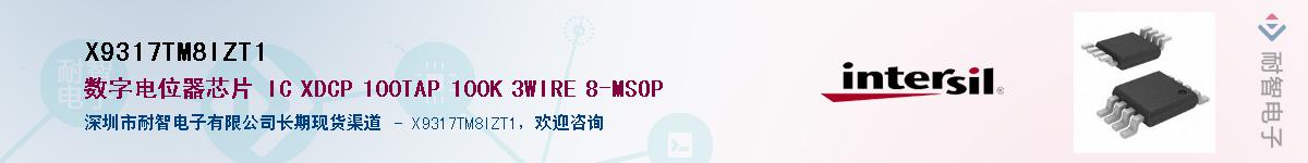 X9317TM8IZT1��Ӧ��-���ǵ���