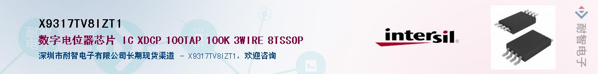 X9317TV8IZT1��Ӧ��-���ǵ���