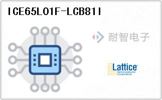 ICE65L01F-LCB81I