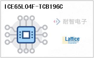 ICE65L04F-TCB196C