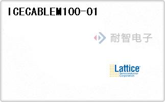 ICECABLEM100-01