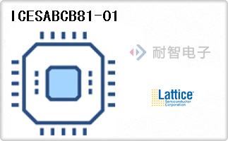 ICESABCB81-01