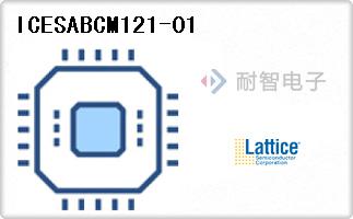 ICESABCM121-01