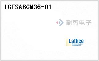 ICESABCM36-01