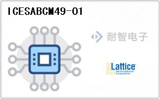 ICESABCM49-01