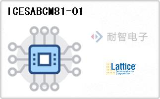 ICESABCM81-01