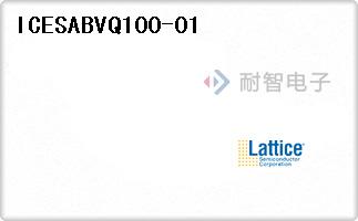ICESABVQ100-01