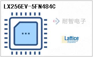 LX256EV-5FN484C