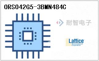 ORSO42G5-3BMN484C
