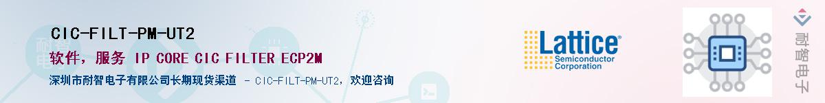 CIC-FILT-PM-UT2��Ӧ��-���ǵ���