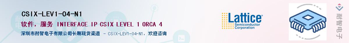 CSIX-LEV1-O4-N1Ӧ-ǵ