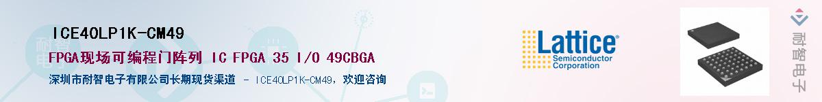 ICE40LP1K-CM49��Ӧ��-���ǵ���