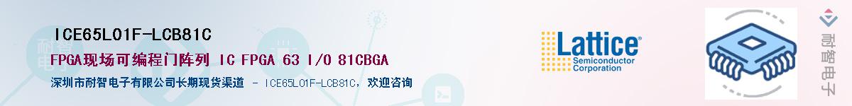 ICE65L01F-LCB81C��Ӧ��-���ǵ���