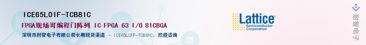 ICE65L01F-TCB81CӦ-ǵ