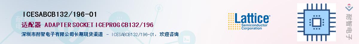 ICESABCB132/196-01Ӧ-ǵ