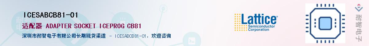 ICESABCB81-01Ӧ-ǵ