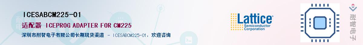 ICESABCM225-01Ӧ-ǵ