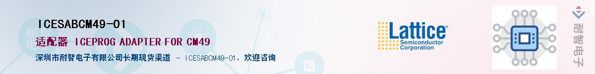 ICESABCM49-01Ӧ-ǵ