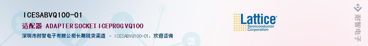 ICESABVQ100-01Ӧ-ǵ