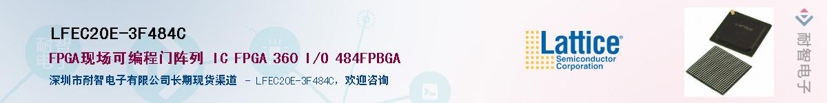 LFEC20E-3F484C��Ӧ��-���ǵ���