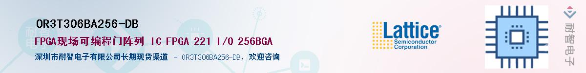 OR3T306BA256-DB供应商-耐智电子