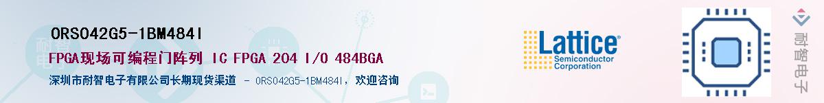 ORSO42G5-1BM484I��Ӧ��-���ǵ���