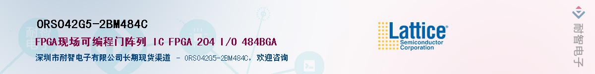 ORSO42G5-2BM484CӦ-ǵ